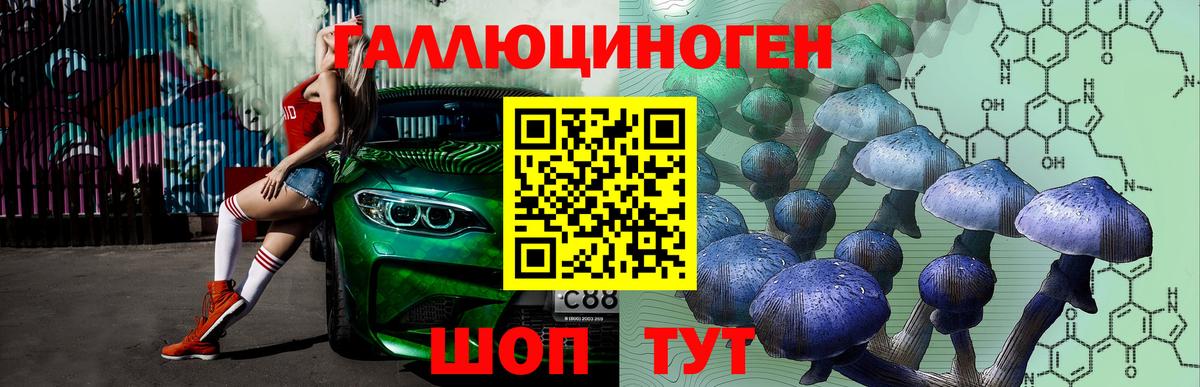 Нефтекумск  Псилоцибиновые грибы мицелий  Вход с VPN  Псилоцибиновые грибы ЛСД 